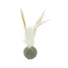 Juguete para gatos de auto-entretenimiento al por mayor, pluma, bola de menta, para afilar dientes, limpieza, resistente a roer, resistente a morder, para provocar al gato