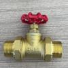 Válvula de parada de cable exterior con doble junta suelta de latón calefactor engrosado, interruptor de válvula de tubería de agua, rosca exterior, válvula de parada de cobre PPR20