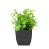 Plantas Artificiais Nórdicas Mais Vendidas Transfronteiriças, Plantas Falsas, Plantas Verdes para Decoração Interna e Externa, Eucalipto de Plástico