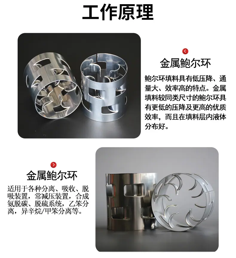 鲍尔环_05