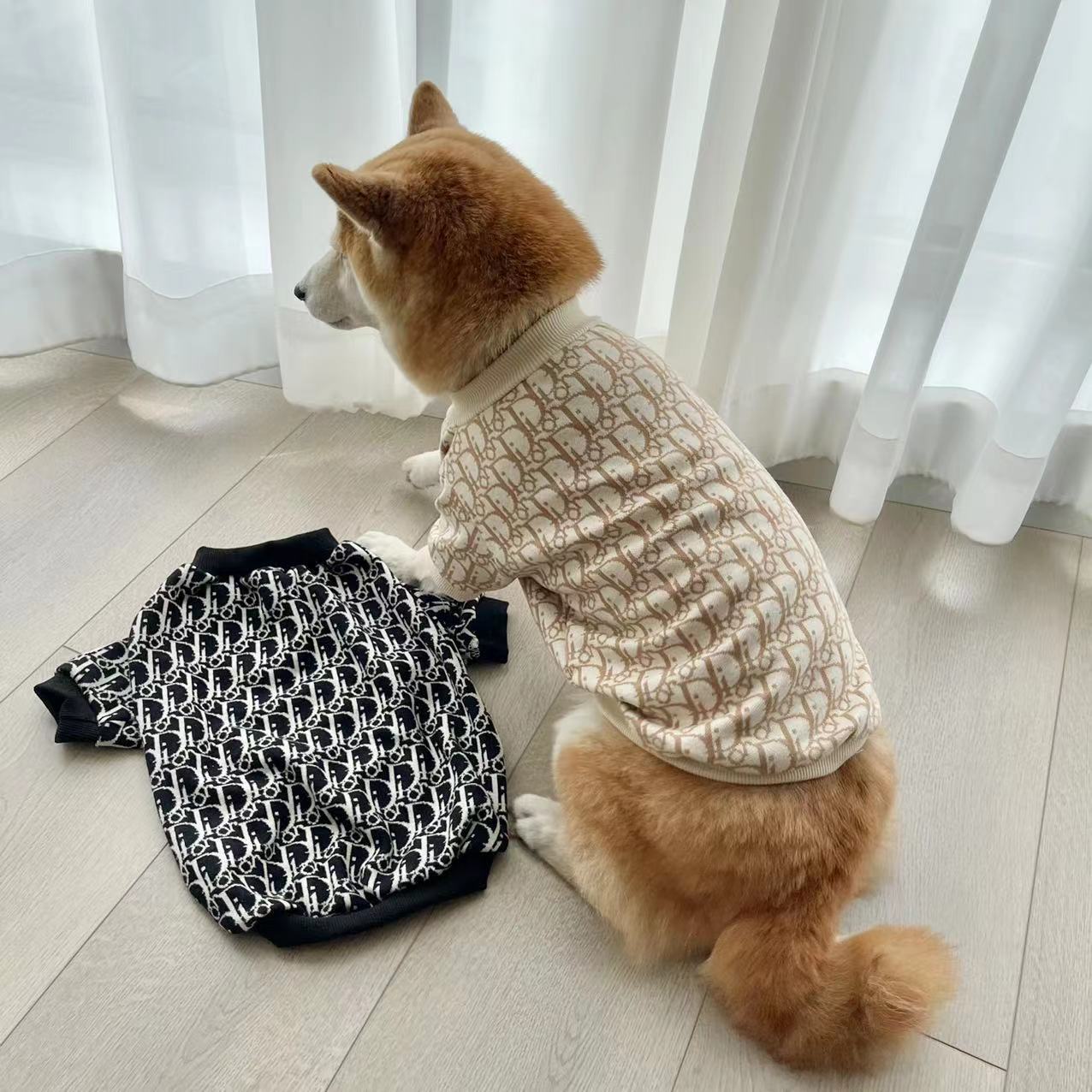 2022-09-04 232355.jpg