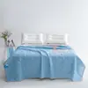 Colcha de Verano de Seda Fría Ultrasónica Suministro para Comercio Electrónico Transfronterizo Xiyin Temu Amazon Color Puro Colcha de Verano Helado