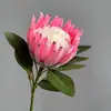 Rama Única de Flor Imperial Sudafricana, Flor Princesa, Decoración para Sala de Estar del Hogar Adornos de Flores de Seda, Venta al por Mayor de Fábrica de Exportación Transfronteriza
