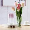 Vaso de vidro mágico galvanizado europeu decoração para sala de estar arranjo de flores de hotel hidropônico cor decoração de vaso atacado