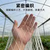 Rede Poliéster Anti-Pássaro, Multifilamento de Nylon com Tecelagem de Borda, Abertura de Ventilação de Estufa, Calha, Rede Anti-Abelha, Campo Agrícola, Tanque de Peixes, Pomar, Árvores Frutíferas