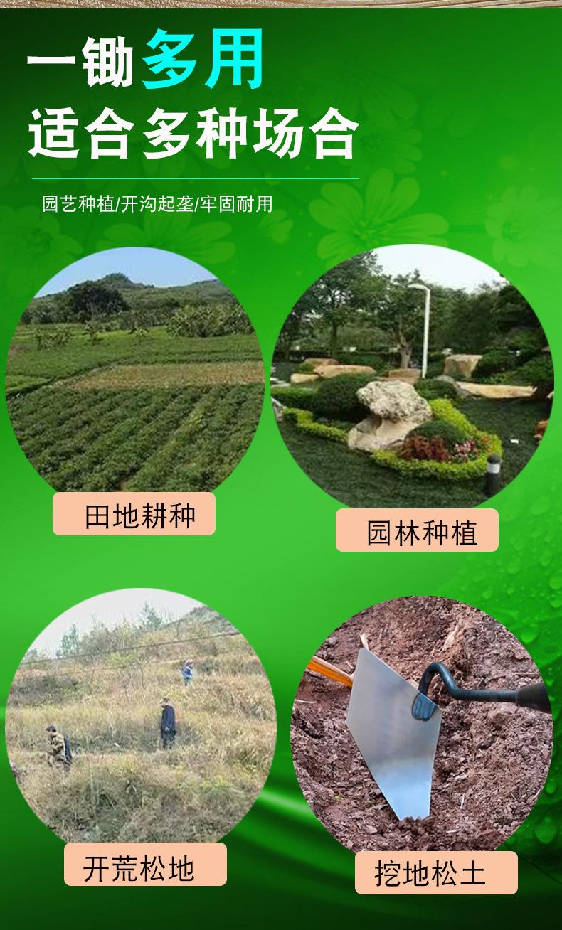 详情_05.jpg