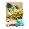 Kit de Materiales para Repujado A5 Flores Secas Flores Conservadas Marco de Fotos Flores Frescas Flores Prensadas Velas Aromáticas DIY