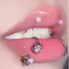 Anel de Lábio Garra de Dragão Aço Inoxidável Anel de Osso da Orelha Bola de Zircônia Anel Ferradura Decoração de Lábio Aço Titânio 4 Cores Atacado Transfronteiriço Joias de Piercing