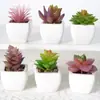 Suculentas Simuladas Personalizadas Cerámica Bonsái Plantas Verdes Escandinavas Adornos Hogar Interior Sala de Estar Flores Falsas Suculentas Plantas en Maceta