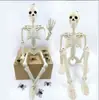 Marco de Calavera para Producto Nuevo Transfronterizo 90cm Articulado Ajustable Adorno de Terror de Halloween Calavera Humana Esqueleto Calabaza Marco de Calavera