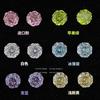 Milhares de rosas brincalhonas cortadas! Super Flash 8mm Zircon Ear Nail Multicolor Indústria Pesada Camélia Ear Nail Ear Nail Japonês e Coreano Novo