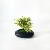 Nuevo Maceta Pequeña Poco Profunda Piedra Negra Malla 5 Plantas Acuáticas Bonsái Pequeño Oficina en Casa Escritorio Flor Artificial Adornos de Bonsái