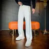 Pantalones Casuales Rectos para Hombre de Otoño, Nuevos, de Alta Gama, Modernos, a la Moda, Versátiles, con Sentido del Diseño Americano, Atractivos de Forma Picara, Calidad con Caída