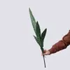 Panxinghe Planta de Piel de Tigre de 5 Hojas Flor Artificial Flor Falsa Planta Verde Venta al por Mayor Decoración de Bodas Artesanías Estilo Ins Fabricante