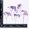 Marco de fotos de muestra de planta en relieve con flores secas de color Gypsophila, marcapáginas hecho a mano, material de pegamento con forma de gota de flor para niños, venta al por mayor