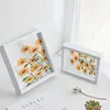 Moldura de Vidro Transparente Dupla Face A4 Moldura de Montagem 68 polegadas Moldura de Exibição de Fotos de Caligrafia e Pintura Moldura de Exibição de Espécimes de Folhas