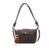 Nueva colección de verano: bolso tejido de moda, bolso tote pequeño, simple y elegante para el uso diario, moderno y único, gran capacidad, bolso pequeño estilo Boston