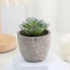 Luke Mini Suculentas Atacado Pequenos Vasos de Plantas Ornamentais Flores Artificiais com Vasos de Flores Artificiais Plantas Verdes para Mesa de Escritório