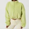 Chaqueta deportiva de lana olímpica de otoño e invierno, cuello alto, suéter holgado con cremallera y cordón, moda para chicas calientes Jian, ropa de mujer europea y americana engrosada