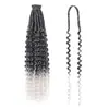 Peluca de Fieltro de Doble Extremo Estilo Europeo y Americano de 24 Pulgadas Trenzas de Ganchillo Hechas a Mano Extensiones de Cabello de Fibra Sintética de Baja Temperatura de un Solo Hilo Trenzas Profundas