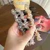 Diadema Exquisita de Estilo Coreano con Ola de Pedrería de Caña Alta para Mujeres con Dientes, Diadema Antideslizante para Lavarse la Cara, Pasador, Diadema