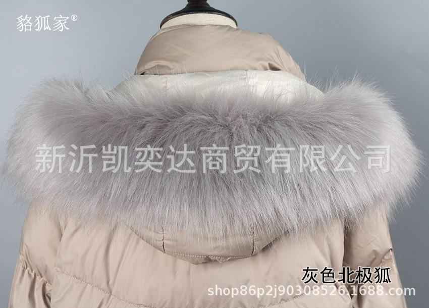 灰色北极狐.jpg