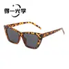 Pide gafas de sol vintage estilo ojo de gato europeas y americanas, gafas de sol de alta gama para mujer con protección UV
