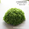 Bloques de musgo artificial, bloques de musgo de piedra, césped artificial, césped falso, micro paisajismo de suculentas DIY, adornos de musgo para decoración suave