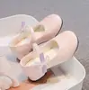 Zapatos de Cuero para Niñas Pequeñas 2026 Primavera y Otoño Nuevos Zapatos de Princesa para Niños Suela Suave Mary Janes para Bebé Zapatos Individuales Ligeros Individuales
