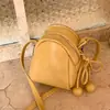 Bolso de un solo hombro para teléfono móvil de mujer, de nicho y elegante, nuevo modelo coreano transfronterizo, bolso de mano simple, bolso cruzado de moda otoño 2026