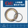 Rolamento de rolos cilíndricos orientado para as pessoas NU 305 306 307 308 309 310 311 312 313EM/C3