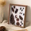 Marco para especímenes de plantas, marco de fotos de especímenes vintage hueco tridimensional hecho a mano estilo bosque con piña y hoja, adorno decorativo de escritorio