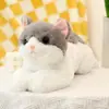 Boneca Gato Fofa Boneca de Abraçar Dormindo Gatinho de Cama Presente Artificial Brinquedo de Pelúcia Menina Boneca de Pano Travesseiro
