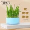 Caja de plantación de hierba para gatos, universal para las cuatro estaciones, hidropónica, para gatos perezosos, hierba para gatos, digestión de bolas de pelo, snacks para gatos al por mayor