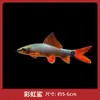 Peixe Ornamental Limpador Musgo Dourado Vivo Tanque de Peixes Ferramenta de Limpeza Peixe Rato de Água Doce Pequeno Tropical Animal de Estimação