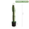 Escena Interior Decoraciones de Escaparate Plantas Grandes Cactus Nórdico Plantas Verdes Falsas Cactus Simulación Cactus