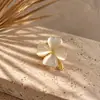 Novo broche minimalista de pedra Olho de Gato anti-luz pin de trevo de quatro folhas feminino acessórios de roupa fixos fabricantes em estoque