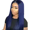 AliExpress novos fabricantes de perucas da moda europeia e americana direto tingimento de seda de alta temperatura cabelo longo liso azul