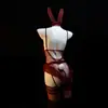 Uniforme de coelhinha cosplay de renda sexy lingerie erótica slim-fit transparente com suspensório vazado camisola qqny1824