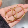 Brincos de Argola Torcidos de Personalidade Exagerada Europeus e Americanos Nicho de Alto Padrão Temperamento Brincos de Tarraxa de Celebridade da Internet Estilo Frio Versátil