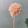 Flor Seca DIY Aromaterapia Difusor de Fragancia Accesorios Ratán Botella Vacía Adornos Varillas de Fibra Difusora Set de Fragancia