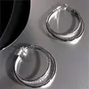 Brincos Argola de Prata Agulha Europeus e Americanos Transfronteiriços, Luxo Acessível, Brincos de Alta Qualidade, Design de Nicho, Elegantes, Modernos e Simples