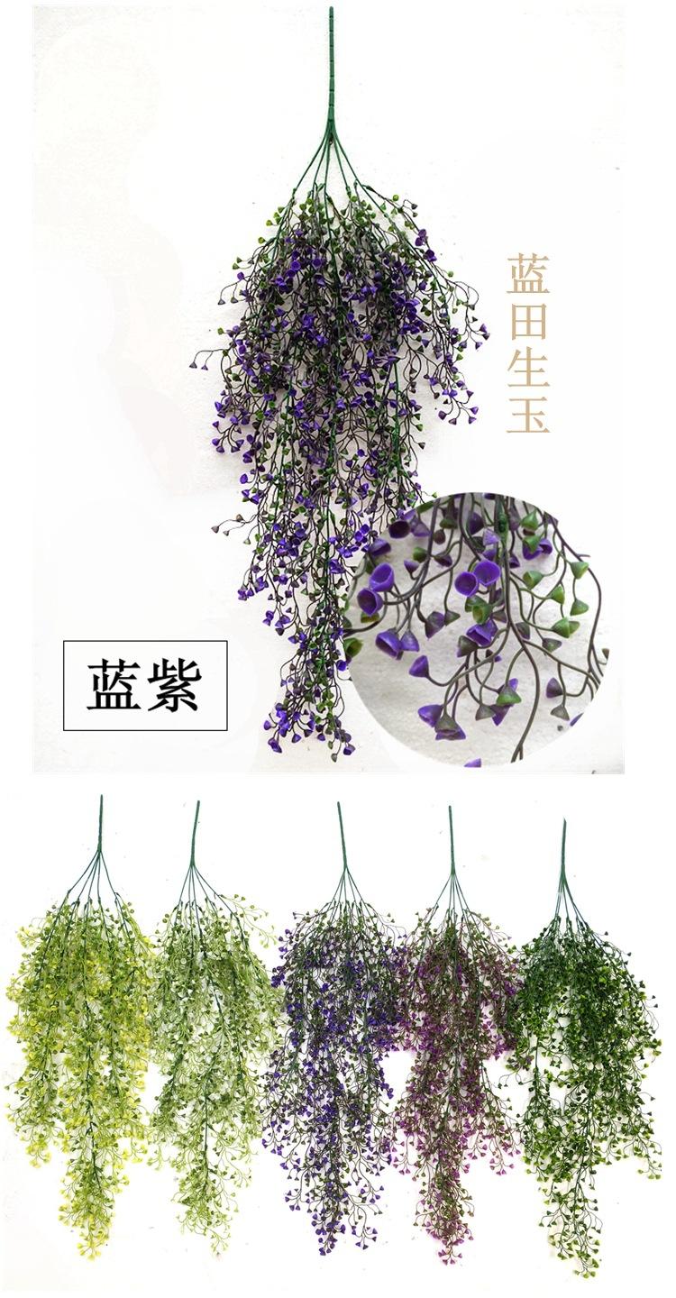 NeoImage_副本_副本0