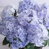 Sementes de Hortênsia para Dropshipping, Verão Infinito, Florescendo o Ano Todo, Hortênsias em Vasos, Plantas com Flores Fáceis de Cultivar para o Quintal