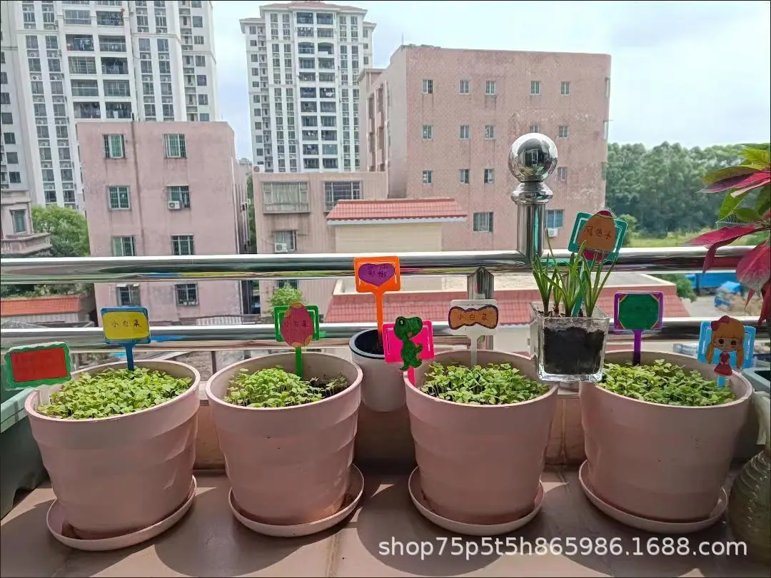 植物插杆5.jpg