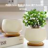 Maceta de cerámica de una pieza para el cabello, extragrande, ligera, de lujo, estilo Ins, de alta calidad, para el hogar, con flores carnosas de Phalaenopsis.