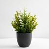 Nórdico Nuevo Bonsái Hogar Escritorio Sala de Estar Flor Falsa Adornos Decorativos Simulación Flor de Lavanda Púrpura Planta en Maceta