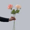 Pared Artificial de Flores de Rosa, Dalia de Ensueño Estrellado de Tallo Único, Decoración del Hogar, Ramo, Flores Artificiales, Estilo Ins, Transfronterizo