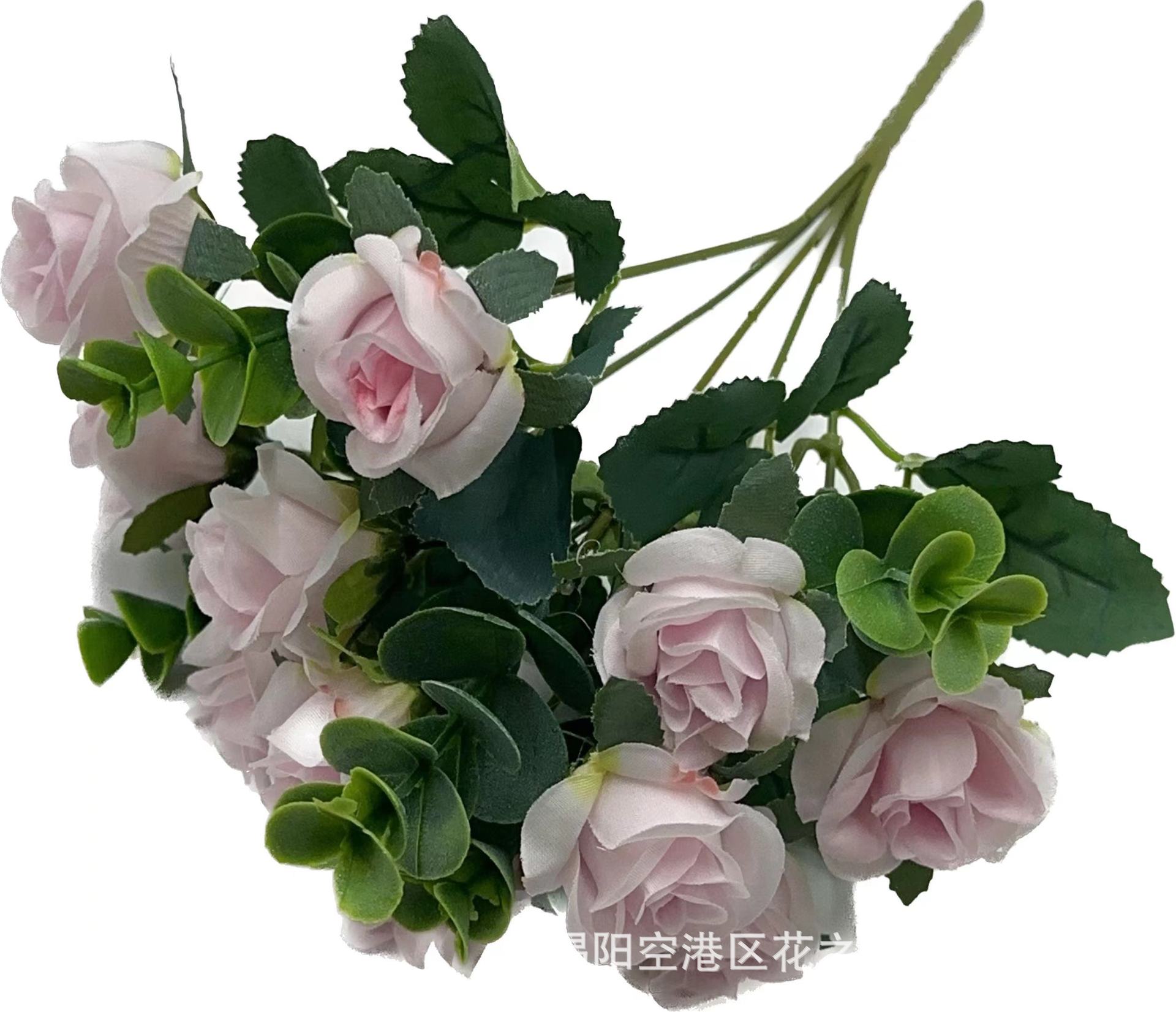 微信图片_202404212210281.jpg