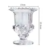 Jarrón alto de cristal con maceta, cristal grueso, apto para arreglos florales y plantas hidropónicas, lirios, hermoso arte floral, regalo de empresa